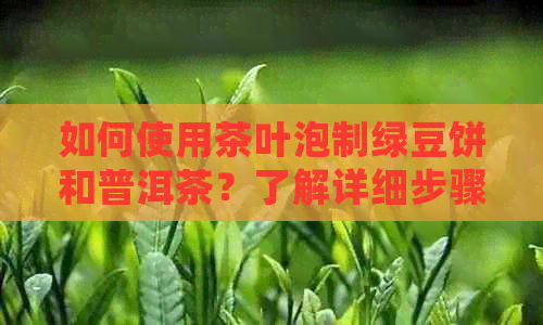 如何使用茶叶泡制绿豆饼和普洱茶？了解详细步骤和技巧