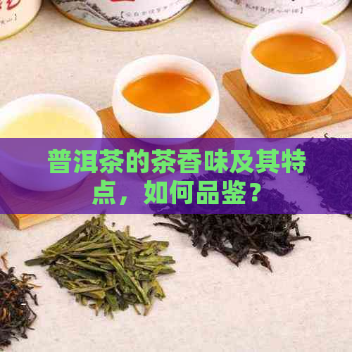 普洱茶的茶香味及其特点，如何品鉴？