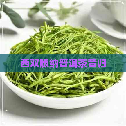 西双版纳普洱茶昔归