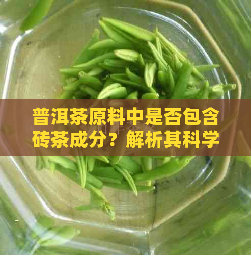 普洱茶原料中是否包含砖茶成分？解析其科学依据