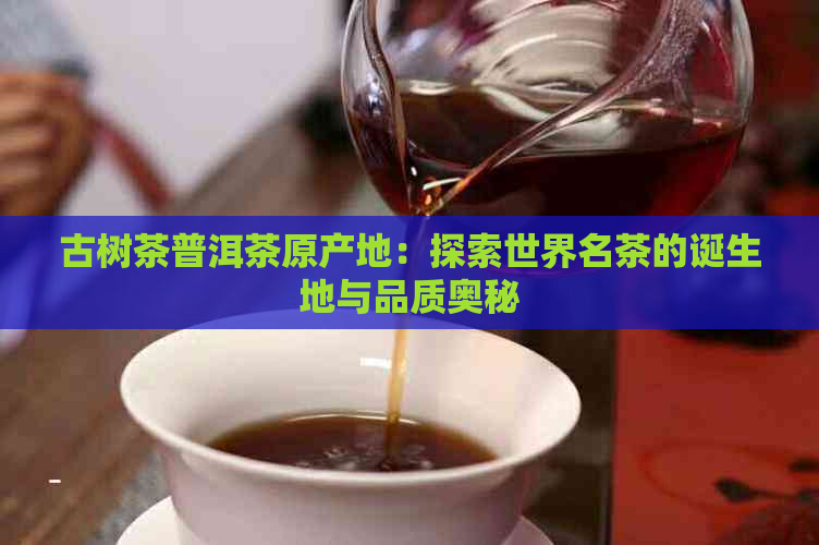 古树茶普洱茶原产地：探索世界名茶的诞生地与品质奥秘