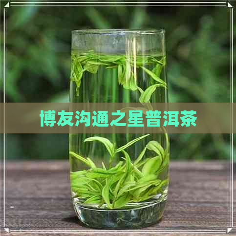 博友沟通之星普洱茶