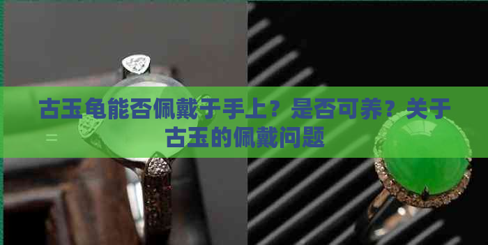 古玉龟能否佩戴于手上？是否可养？关于古玉的佩戴问题