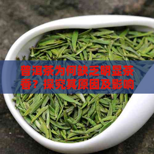 普洱茶为何缺乏明显茶香？探究其原因及影响因素