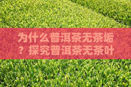 为什么普洱茶无茶垢？探究普洱茶无茶叶味道及茶香原因