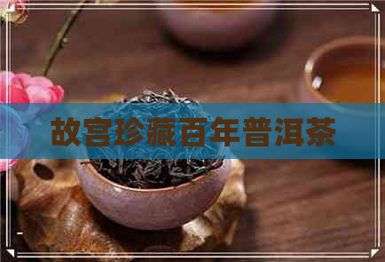 故宫珍藏百年普洱茶