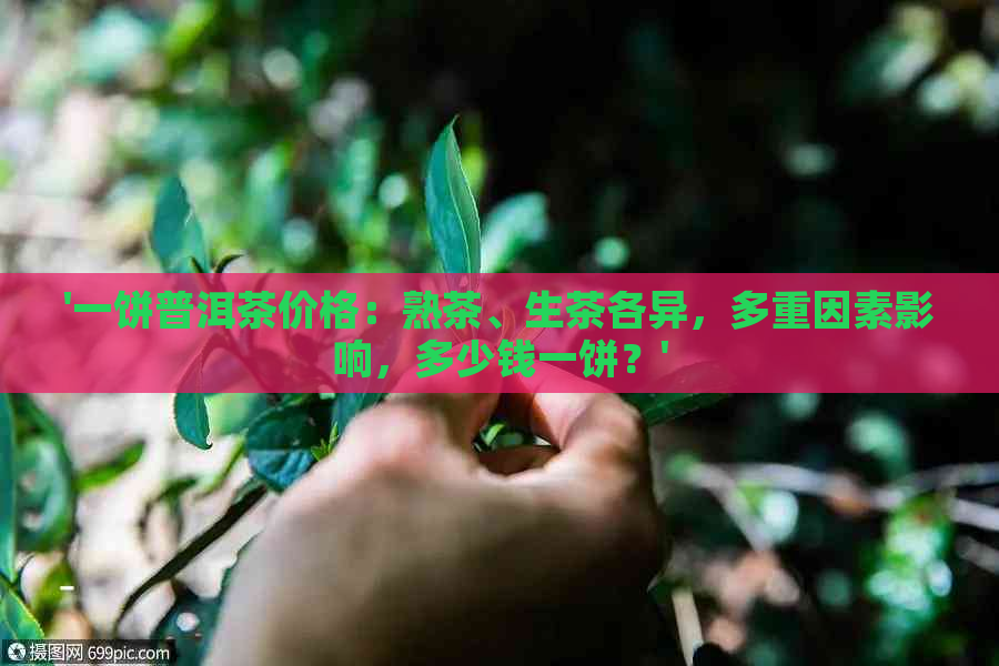 '一饼普洱茶价格：熟茶、生茶各异，多重因素影响，多少钱一饼？'