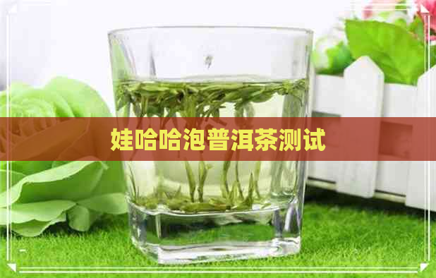 娃哈哈泡普洱茶测试