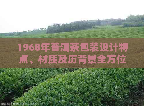 1968年普洱茶包装设计特点、材质及历背景全方位解析