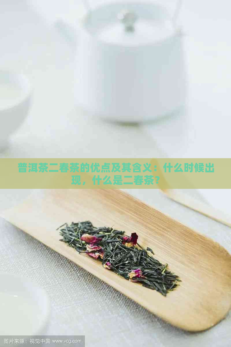 普洱茶二春茶的优点及其含义：什么时候出现，什么是二春茶？