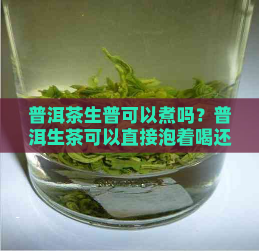 普洱茶生普可以煮吗？普洱生茶可以直接泡着喝还是需要煮着喝？