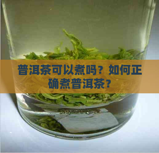 普洱茶可以煮吗？如何正确煮普洱茶？