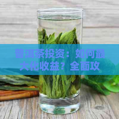 普洱茶投资：如何更大化收益？全面攻略解析，让赚钱更快更容易！