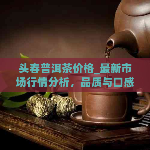 头春普洱茶价格_最新市场行情分析，品质与口感的完美结合