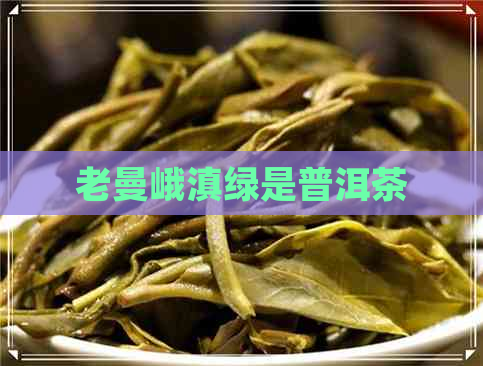 老曼峨滇绿是普洱茶