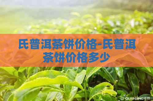 氏普洱茶饼价格-氏普洱茶饼价格多少