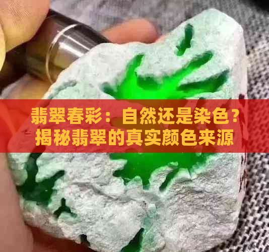 翡翠春彩：自然还是染色？揭秘翡翠的真实颜色来源