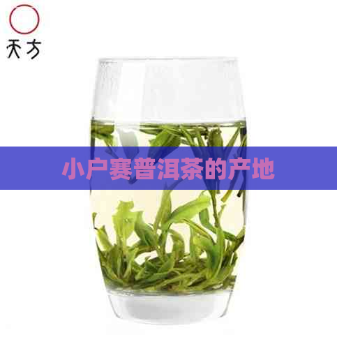 小户赛普洱茶的产地