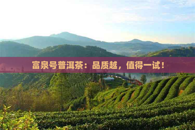 富泉号普洱茶：品质越，值得一试！