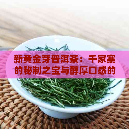 新黄金芽普洱茶：千家寨的秘制之宝与醇厚口感的完美融合