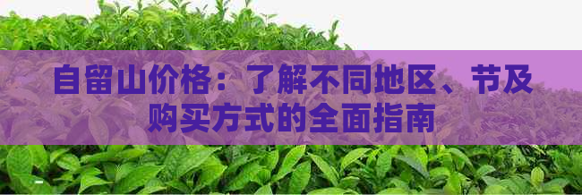 自留山价格：了解不同地区、节及购买方式的全面指南