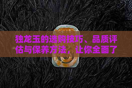 独龙玉的选购技巧、品质评估与保养方法，让你全面了解和掌握独龙玉知识