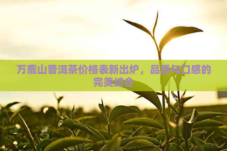 万鹿山普洱茶价格表新出炉，品质与口感的完美结合