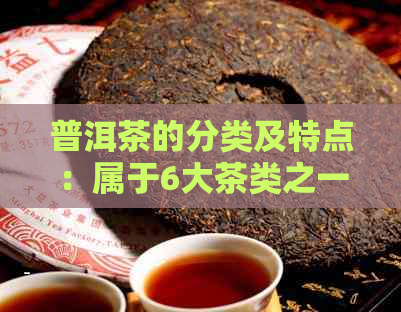 普洱茶的分类及特点：属于6大茶类之一吗？