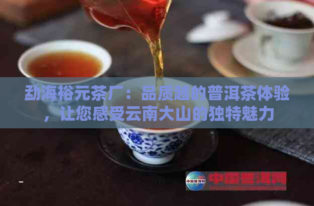 勐海裕元茶厂：品质越的普洱茶体验，让您感受云南大山的独特魅力