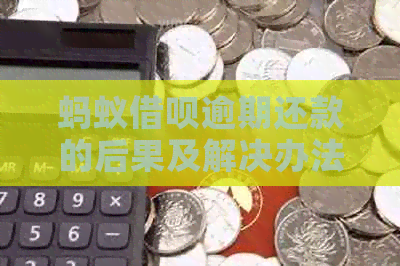 蚂蚁借呗逾期还款的后果及解决办法