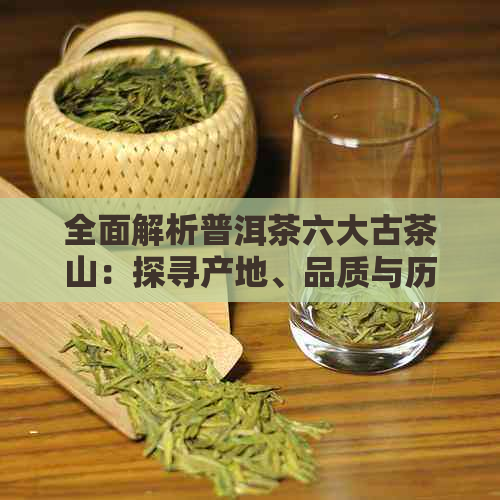 全面解析普洱茶六大古茶山：探寻产地、品质与历文化