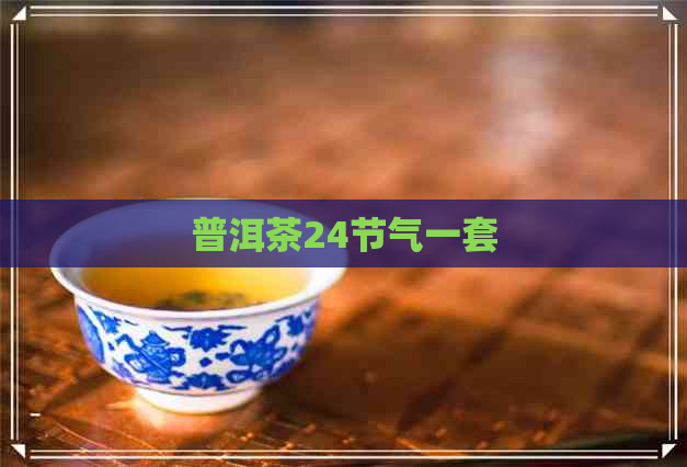 普洱茶24节气一套