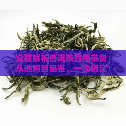 全面解析普洱茶直播带货：从选购到品鉴，一次搞定！