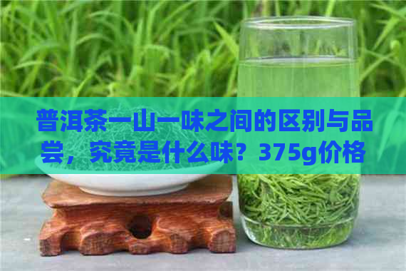 普洱茶一山一味之间的区别与品尝，究竟是什么味？375g价格是多少？