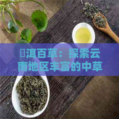 仸洱百草：探索云南地区丰富的中草药资源及其应用