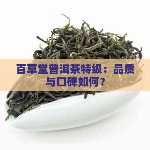 百草堂普洱茶特级：品质与口碑如何？