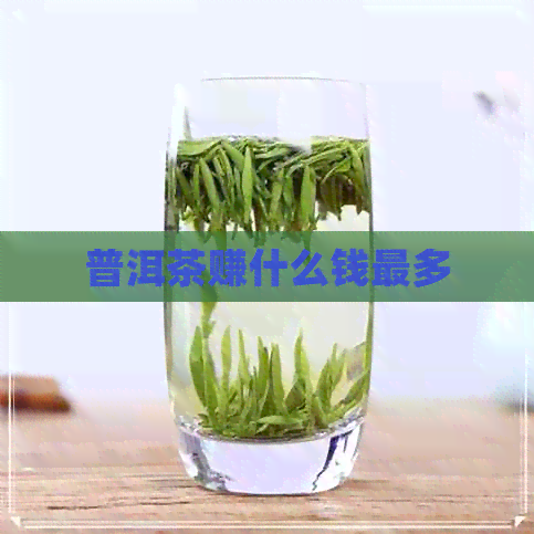 普洱茶赚什么钱最多