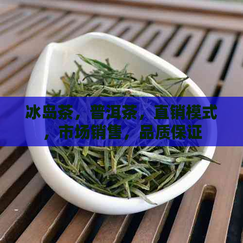 冰岛茶，普洱茶，直销模式，市场销售，品质保证