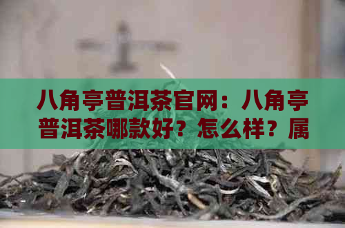 八角亭普洱茶官网：八角亭普洱茶哪款好？怎么样？属于什么档次？