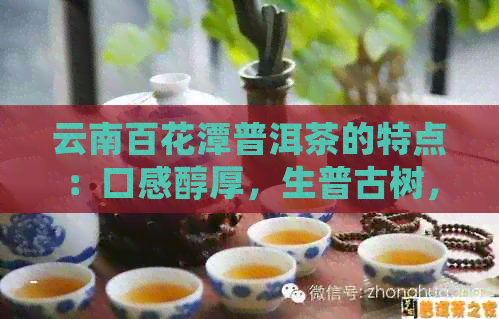 云南百花潭普洱茶的特点：口感醇厚，生普古树，古树茶韵