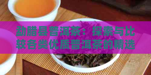 勐腊县普洱茶：探索与比较各类优质普洱茶的精选指南