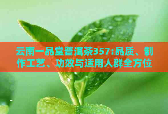 云南一品堂普洱茶357:品质、制作工艺、功效与适用人群全方位解析