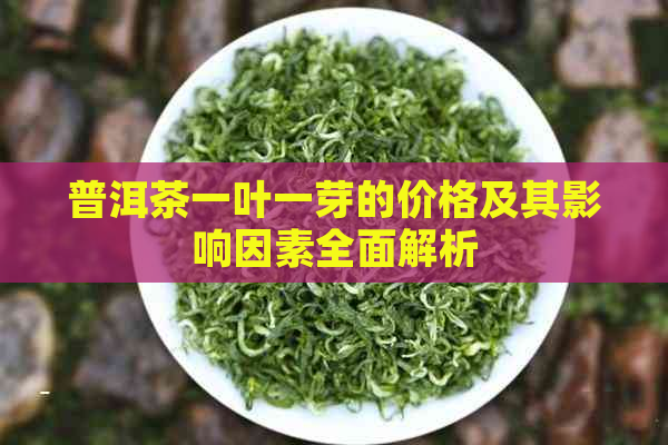 普洱茶一叶一芽的价格及其影响因素全面解析