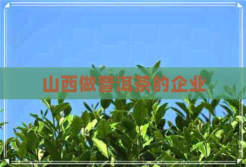 山西做普洱茶的企业