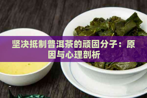 坚决     普洱茶的顽固分子：原因与心理剖析