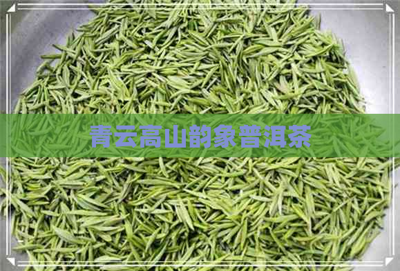 青云高山韵象普洱茶