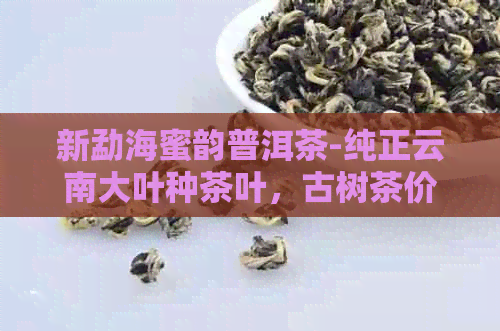 新勐海蜜韵普洱茶-纯正云南大叶种茶叶，古树茶价格及购买指南