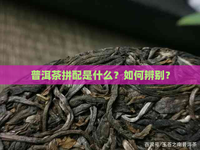 普洱茶拼配是什么？如何辨别？