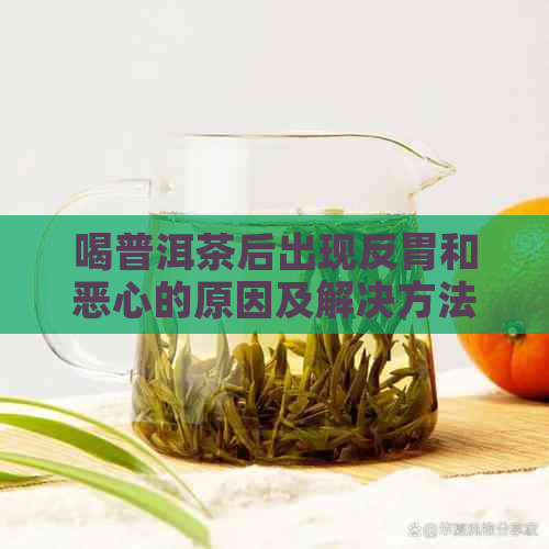 喝普洱茶后出现反胃和恶心的原因及解决方法