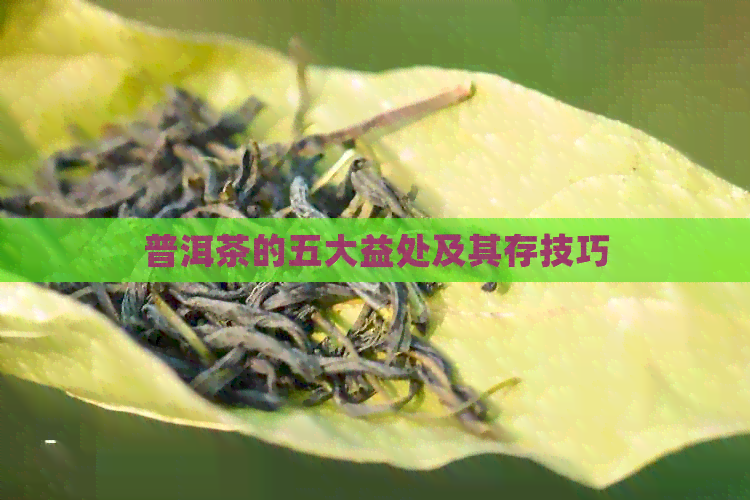 普洱茶的五大益处及其存技巧